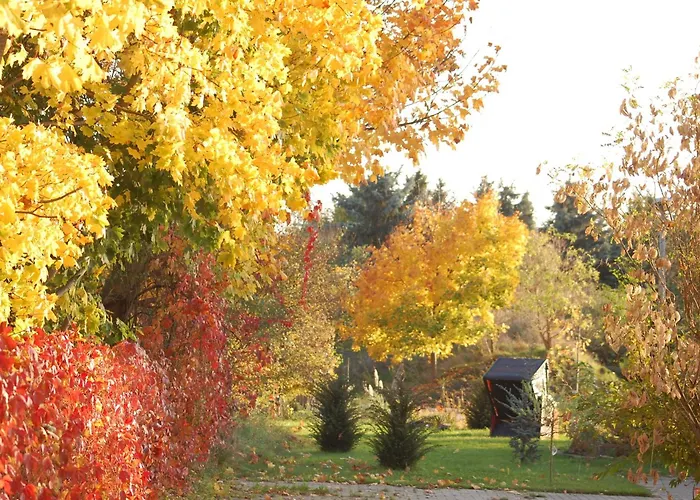 Hotell Arthotel Zur Alten Gaertnerei Zossen